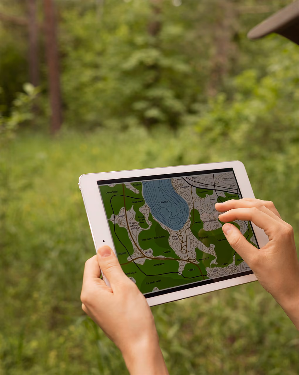 GIS & Mapping Services