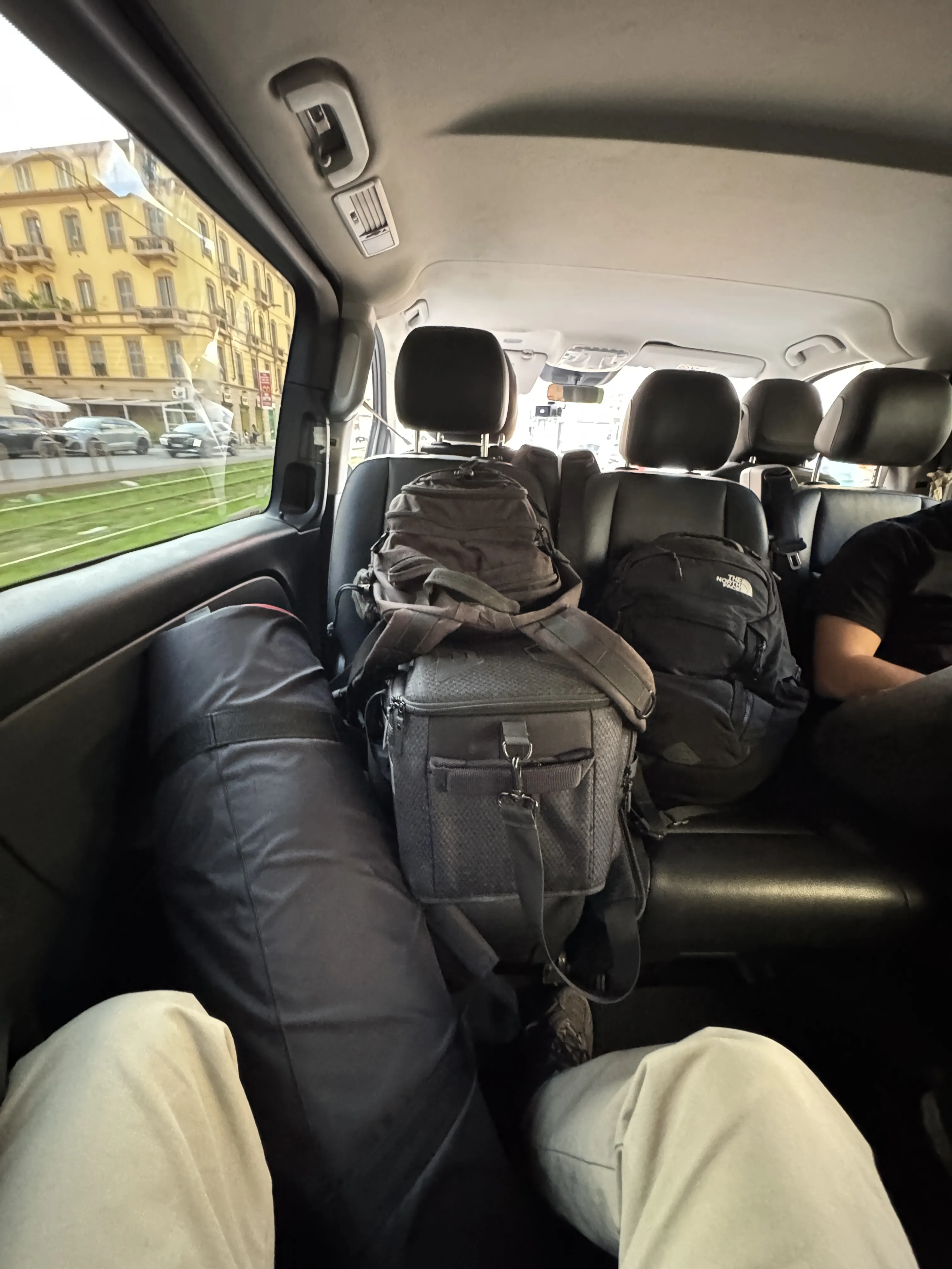 Dog standing on green rubber tiles near green outdoor fitness equipment under a cloudy sky.