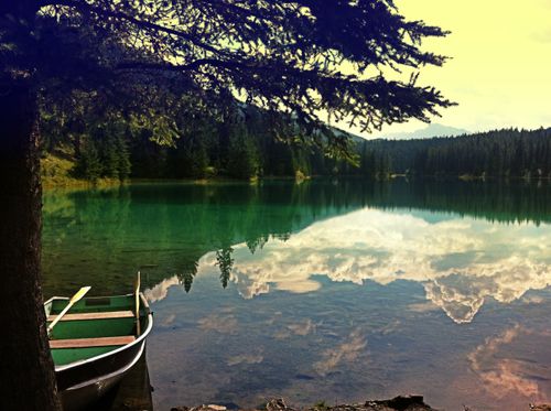 Escape the city, embrace nature. Adventure awaits - let's explore these easy hikes near Jasper, Alberta.