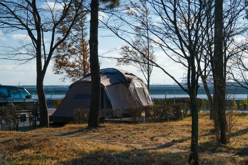 portfolios_templatemain