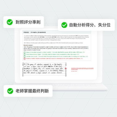 小學學生正在學習使用AI機械人Alpha Mini