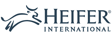 Heifer
