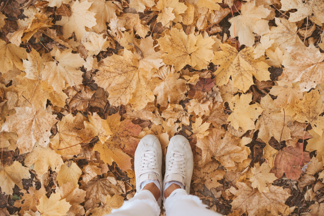 A photograph of Autumn leaves with shoes in the middle of them.