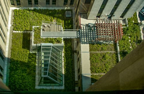 Black Locust Lumber - Decking, Siding & Pavers