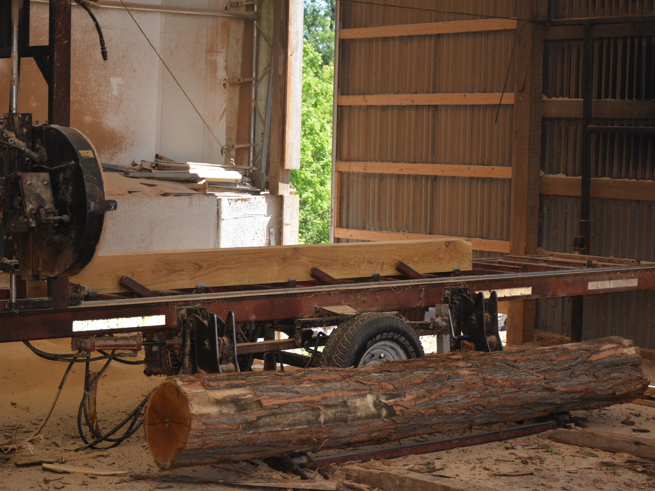 Black locust log on the band sawmill at our mill, ready to be sawn into lumber