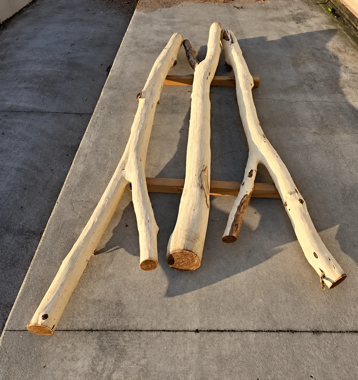 Peeled black locust palisades