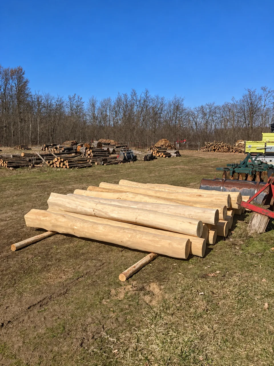 Peeled black locust palisades