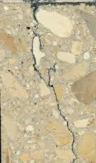 Cross-section of concrete showing an Alkali-Silica Reaction (ASR) crack, illustrating the internal damage and expansion caused by the chemical reaction within the concrete structure.
