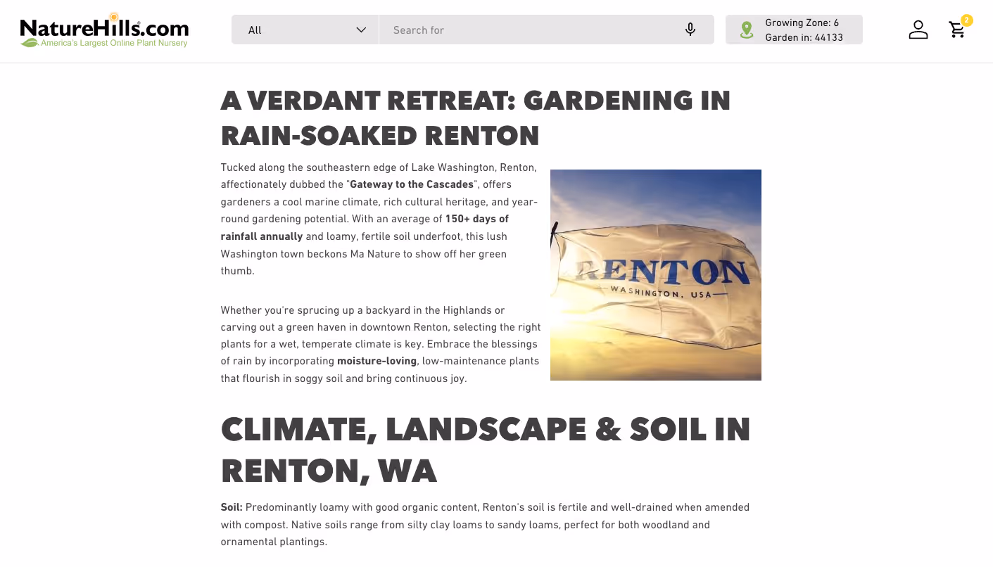 Ai drafted blog post image