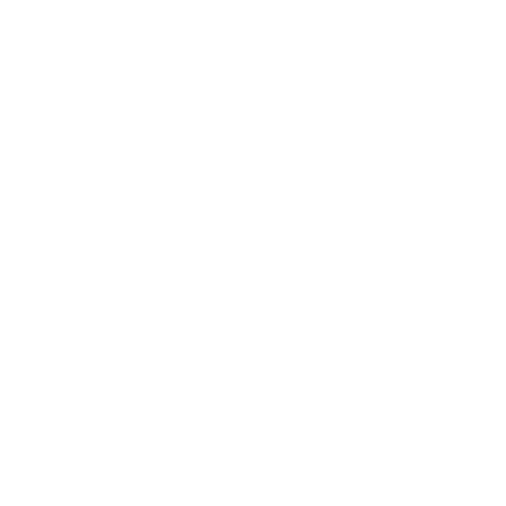 L2 Digital White Wizard Icon