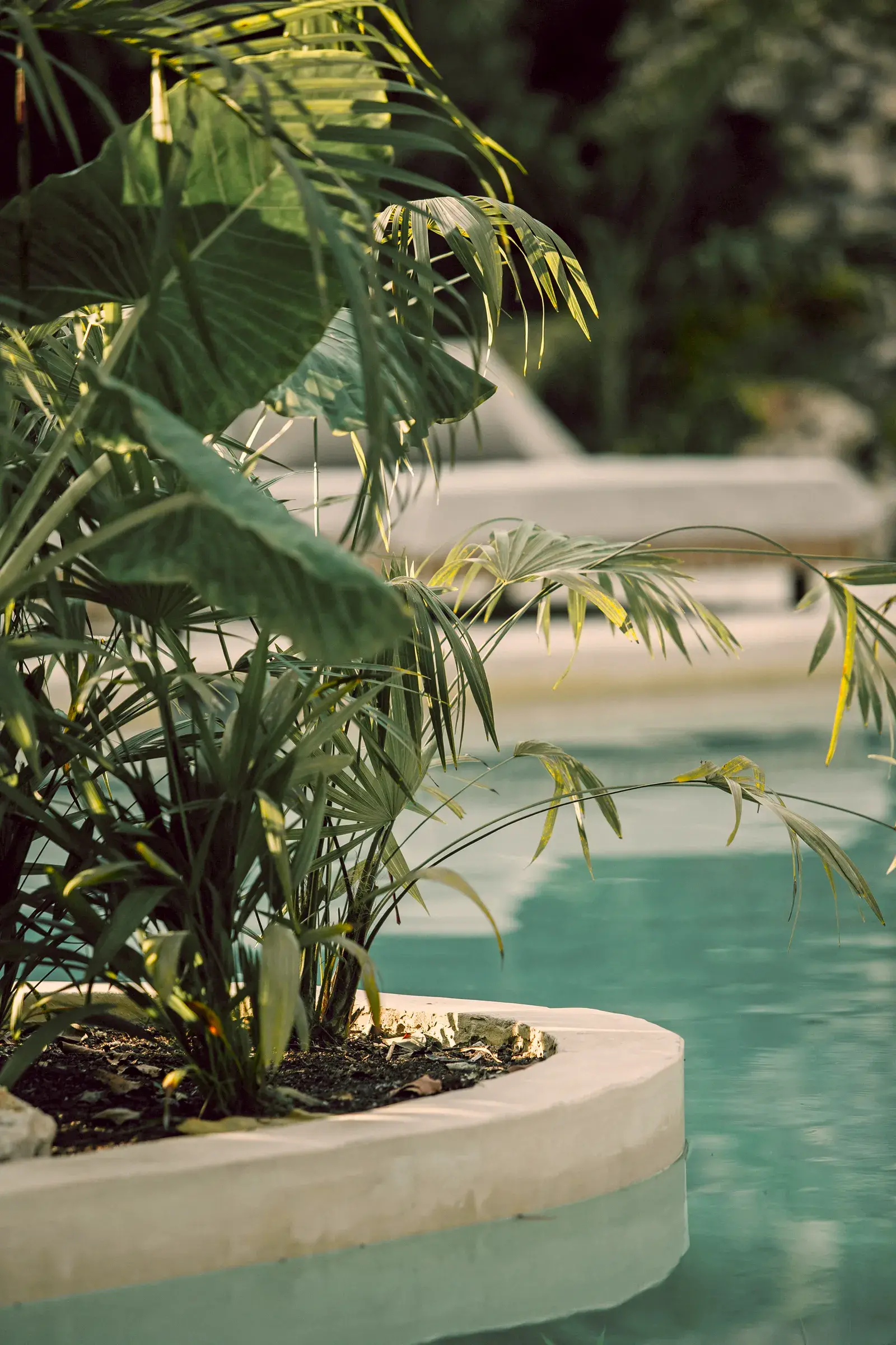 entrada-lamparas-colgantes-macetas-plantas