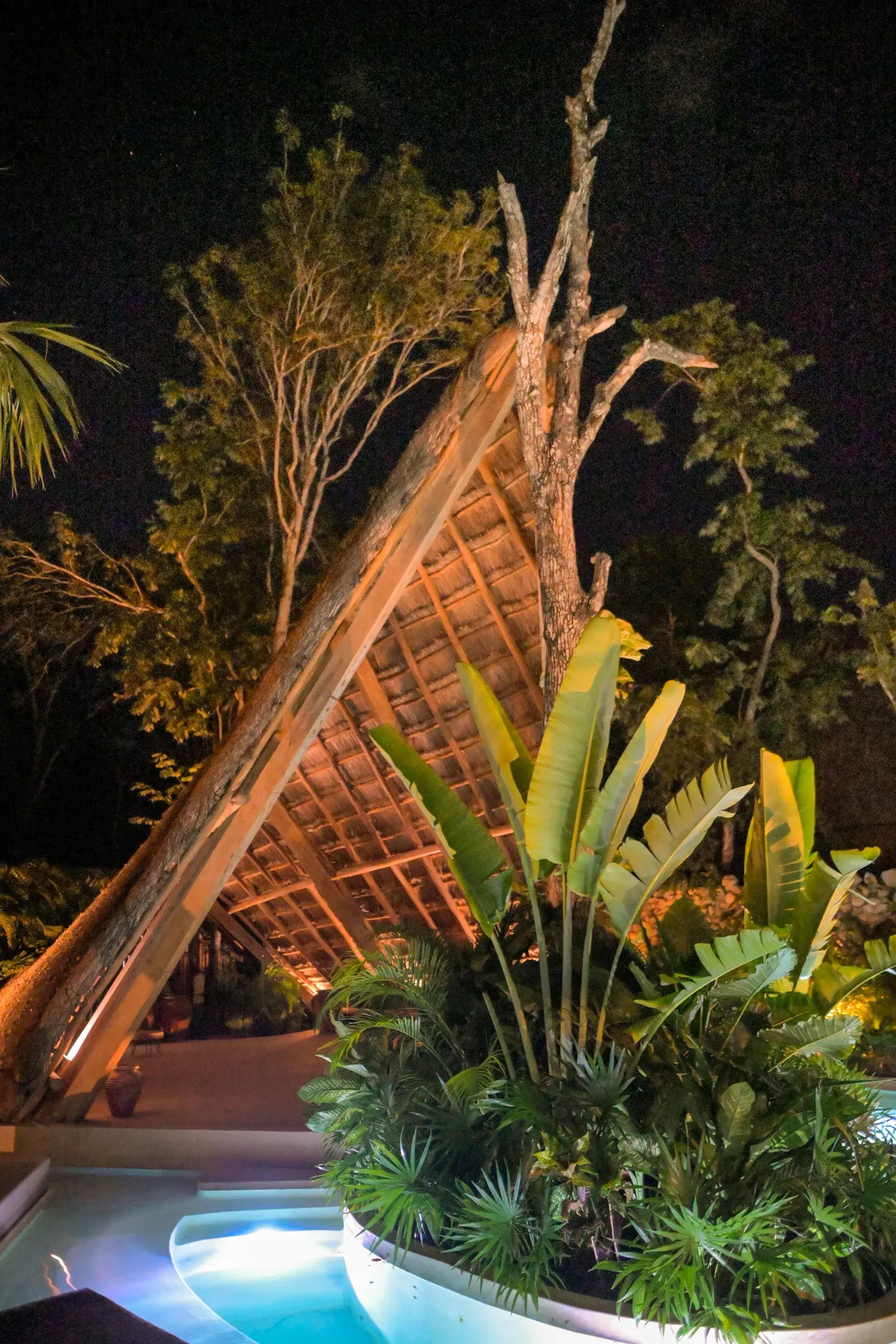 entrada-lamparas-colgantes-macetas-plantas