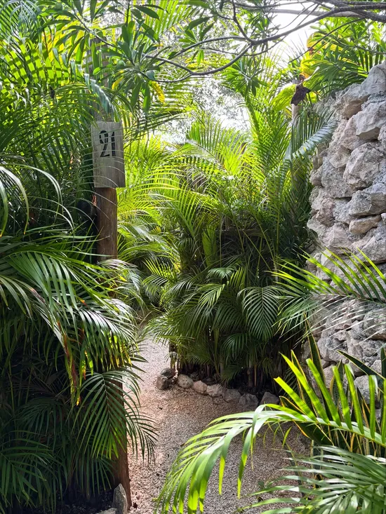 imagen del instagram de muare tulum
