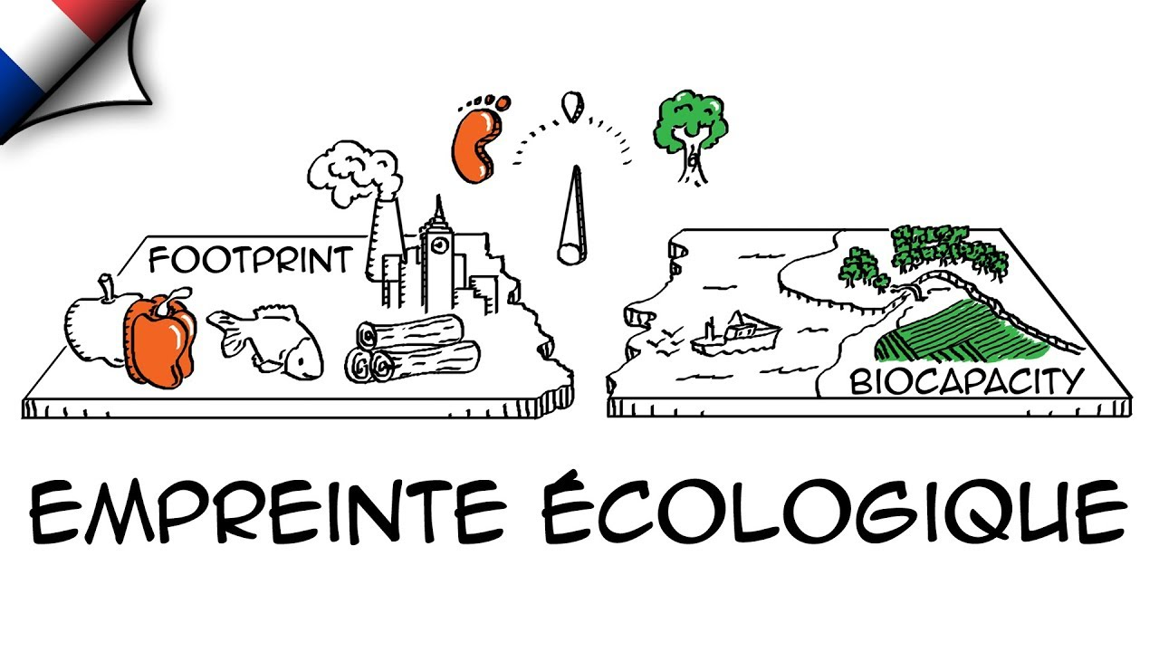 Empreinte écologique schéma équilibre empreinte et biocapacité