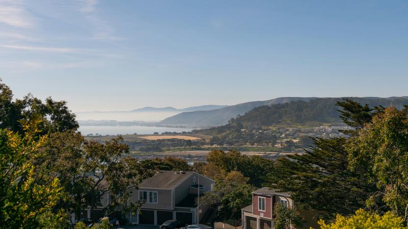 Aerial view of a residential Mountain View neighborhood with tree-lined streets, rooftops, and the Bay in the background.