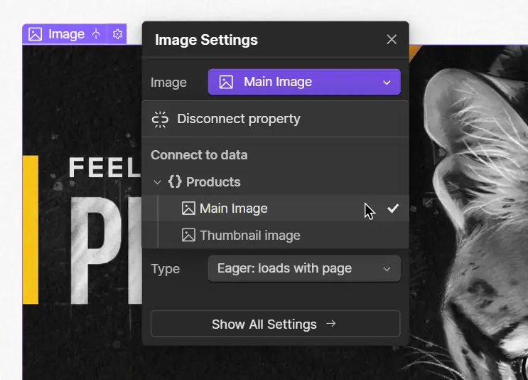 Image Settings panel for Webflow CMS