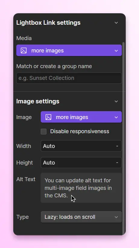 Lightbox Settings Panel