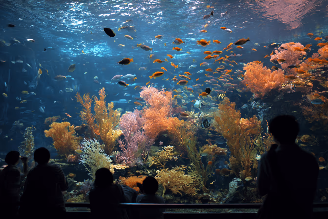 水族館