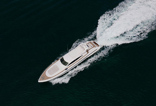 image cover of the news