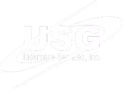 USG Insurance Services, Inc. logo