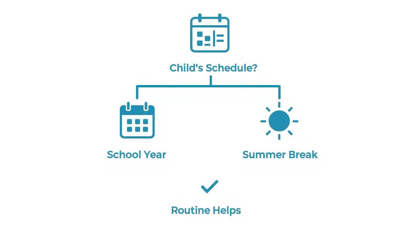 An infographic decision tree showing that a structured school year routine helps with orthodontic treatment compliance.