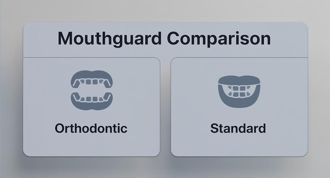 Infographic about winter sports are heating up — here’s how to keep braces safe on the field or court
