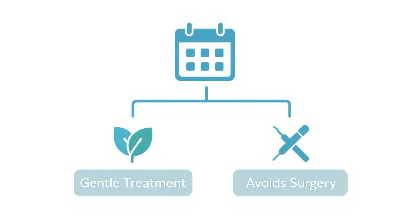 An infographic showing a calendar icon leading to two benefits: gentle treatment with leaves and avoiding surgery with crossed-out dental tools.