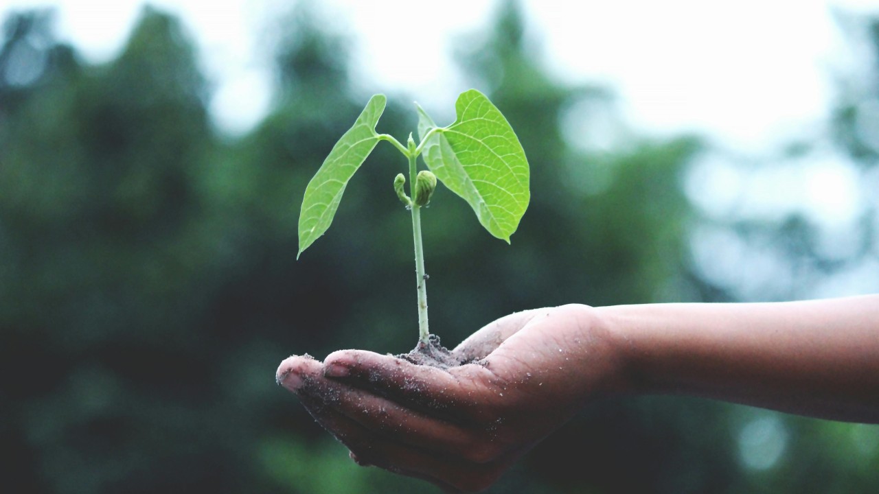 How We Grow