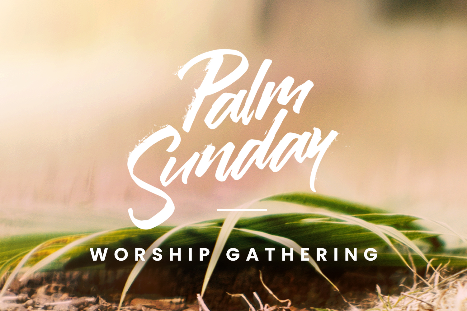 Palm Sunday + Kids Egg Hunt