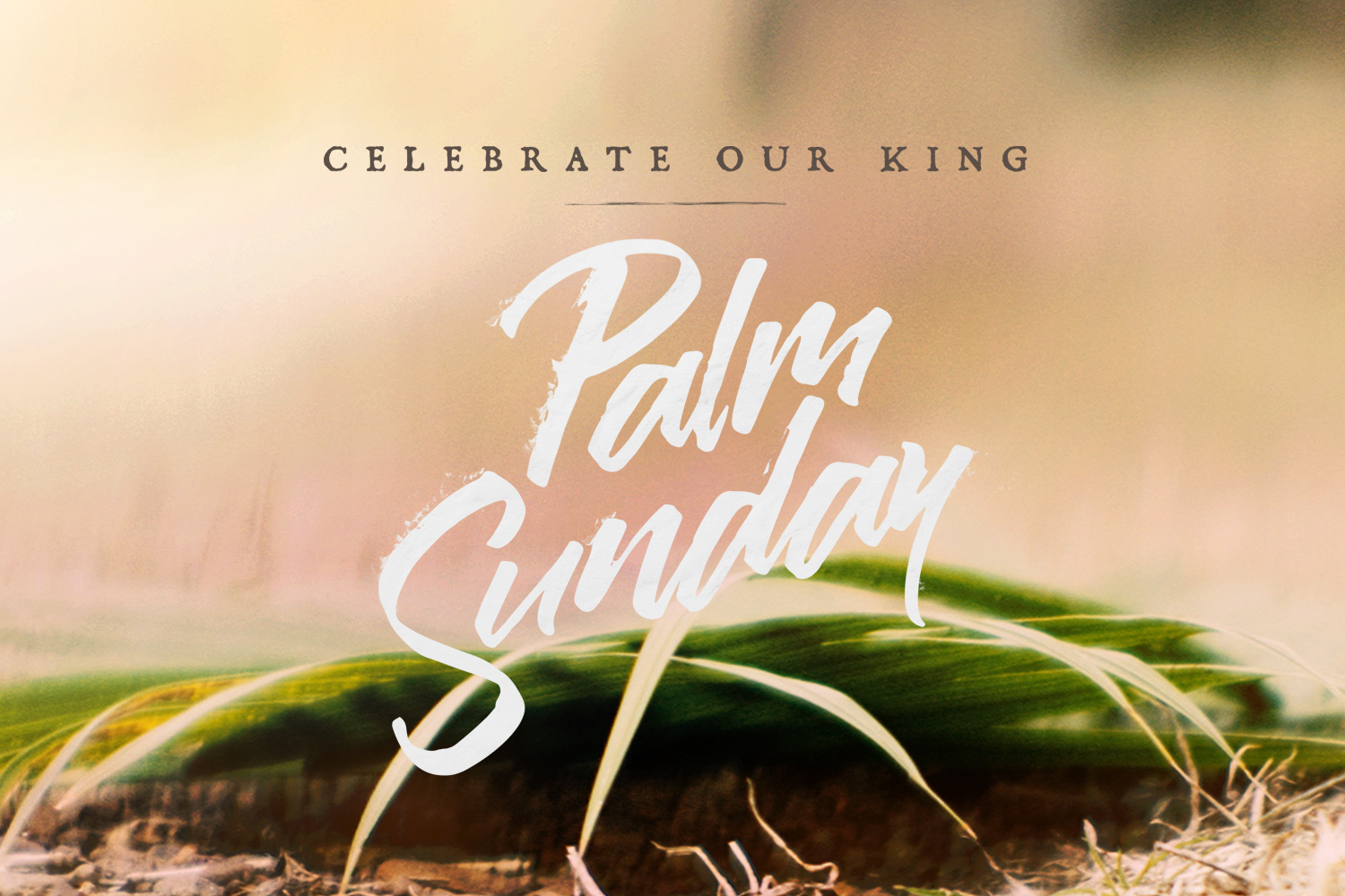 Palm Sunday + Kids Egg Hunt