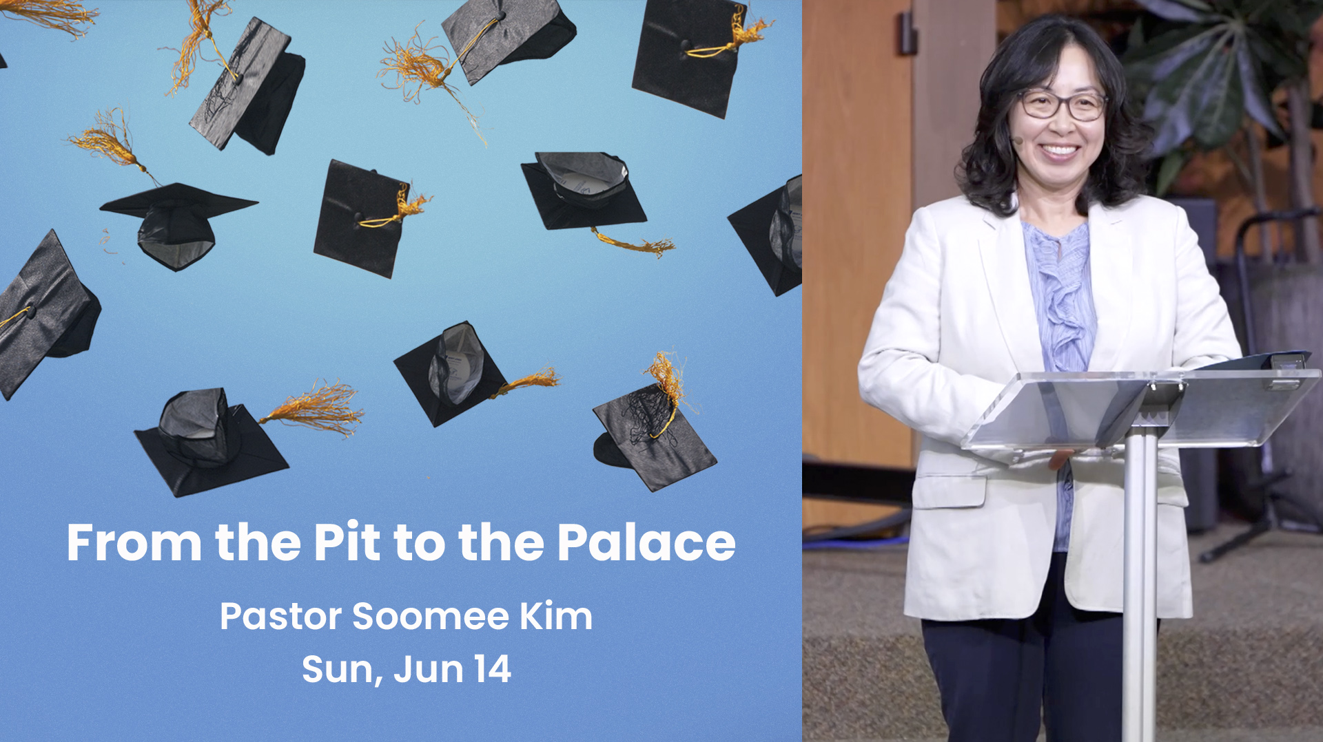 From the Pit to the Palace