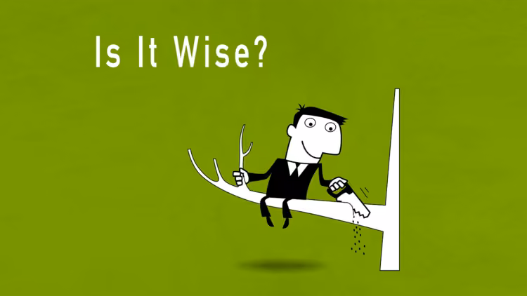 Is it Wise?