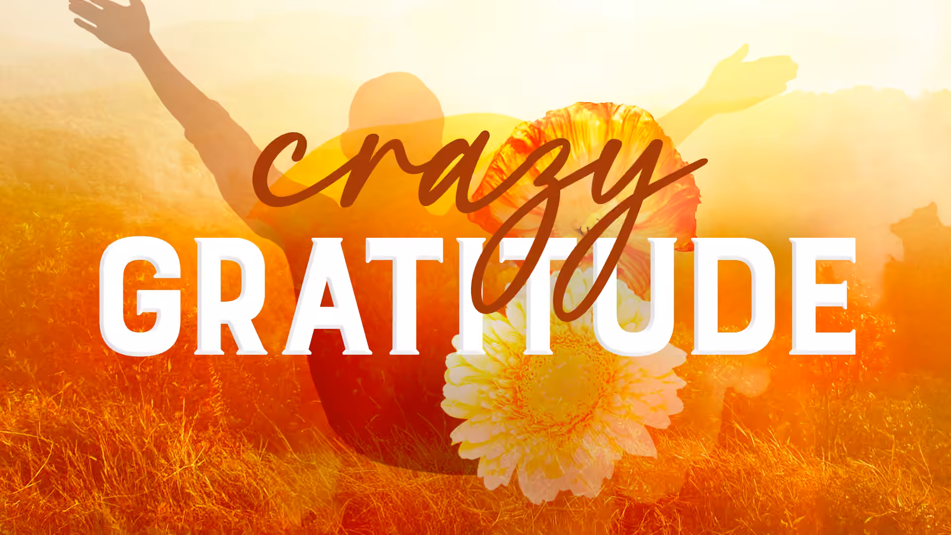 Crazy Gratitude