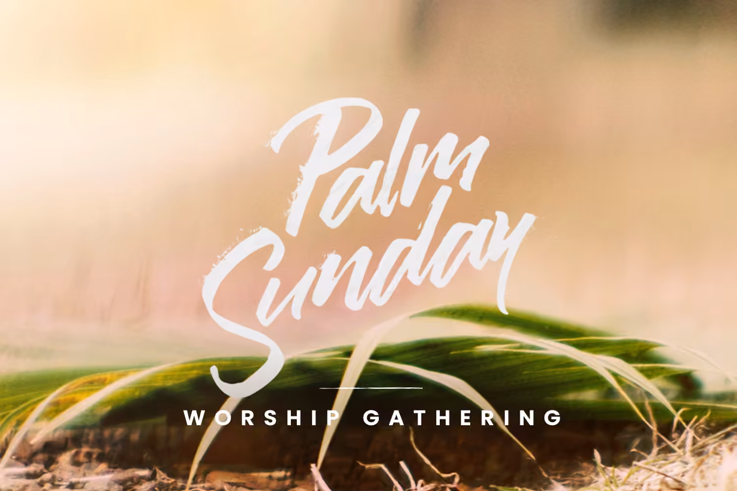 Palm Sunday + Kids Egg Hunt