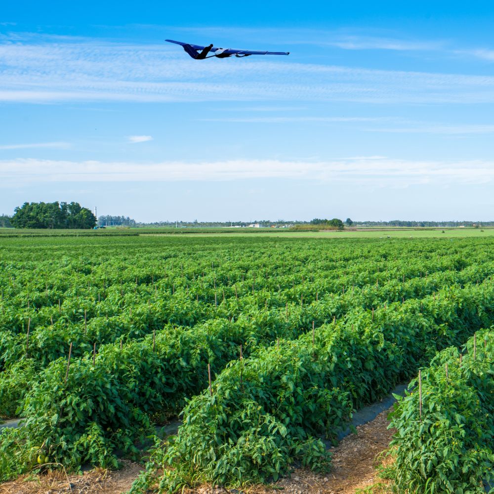 xRAI flying over a farm