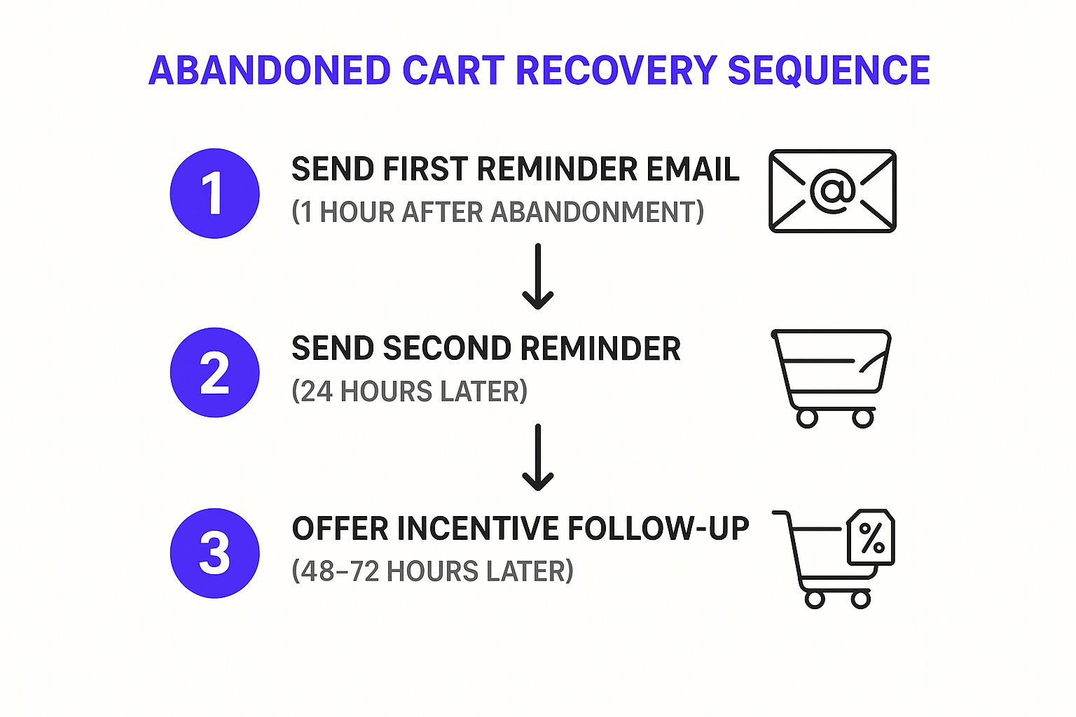 Infographic showing key data about Abandoned Cart Recovery Systems