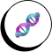 DNA double helix icon, commonly used in educational materials for VCE biology tutoring.