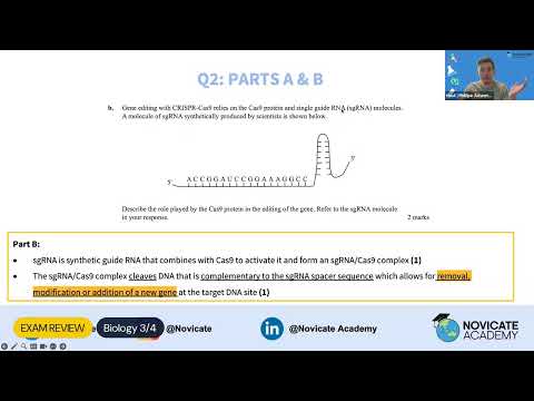 Mock Exam Day: worked answers