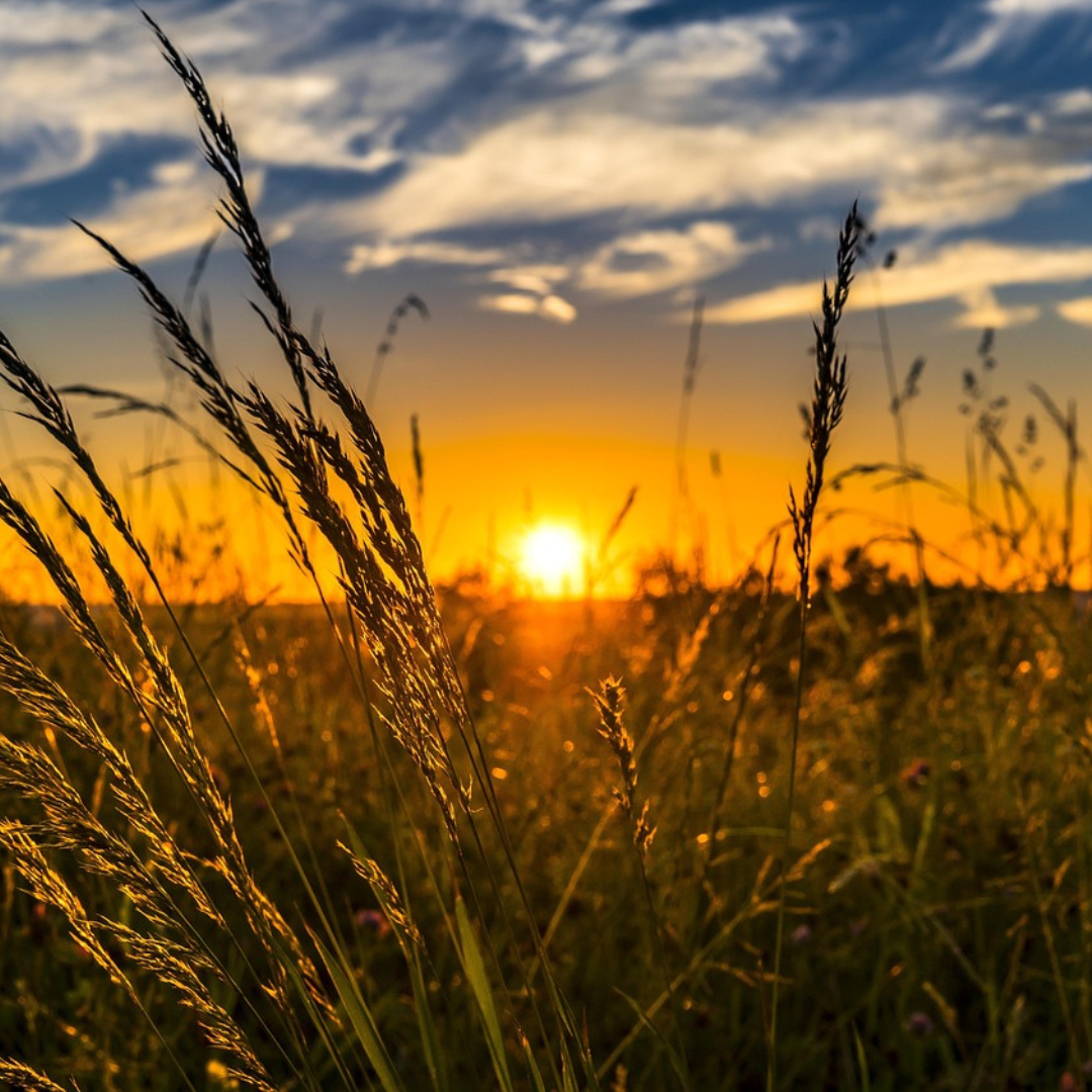 5 Reasons Tarbolton Should Be Your Next Ayrshire Day Trip