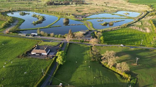 The Perfect Catch: Pairing a Day at Burns Trout Fishery with The Black Bull
