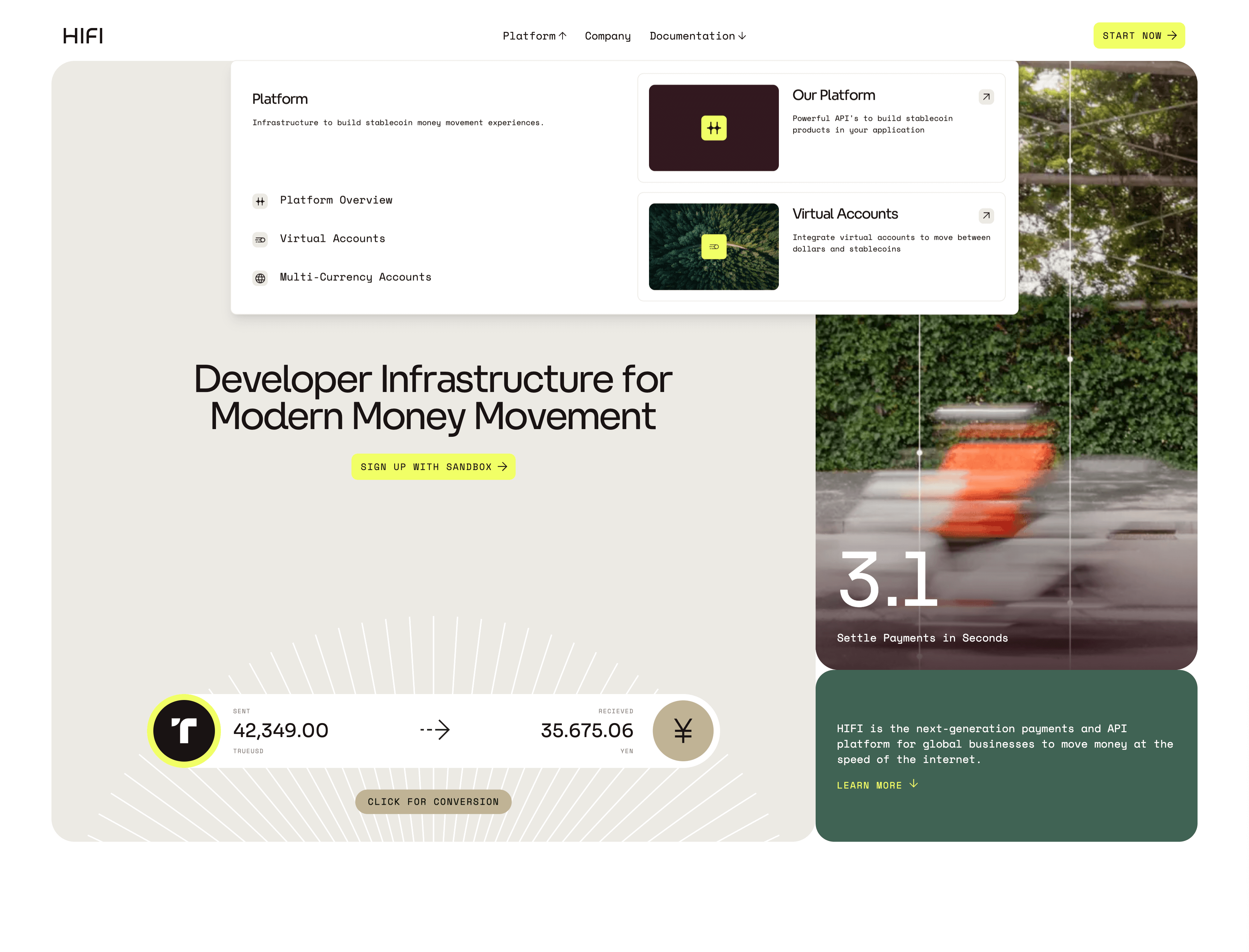 Developer Infrastructure for Modern Money Movement