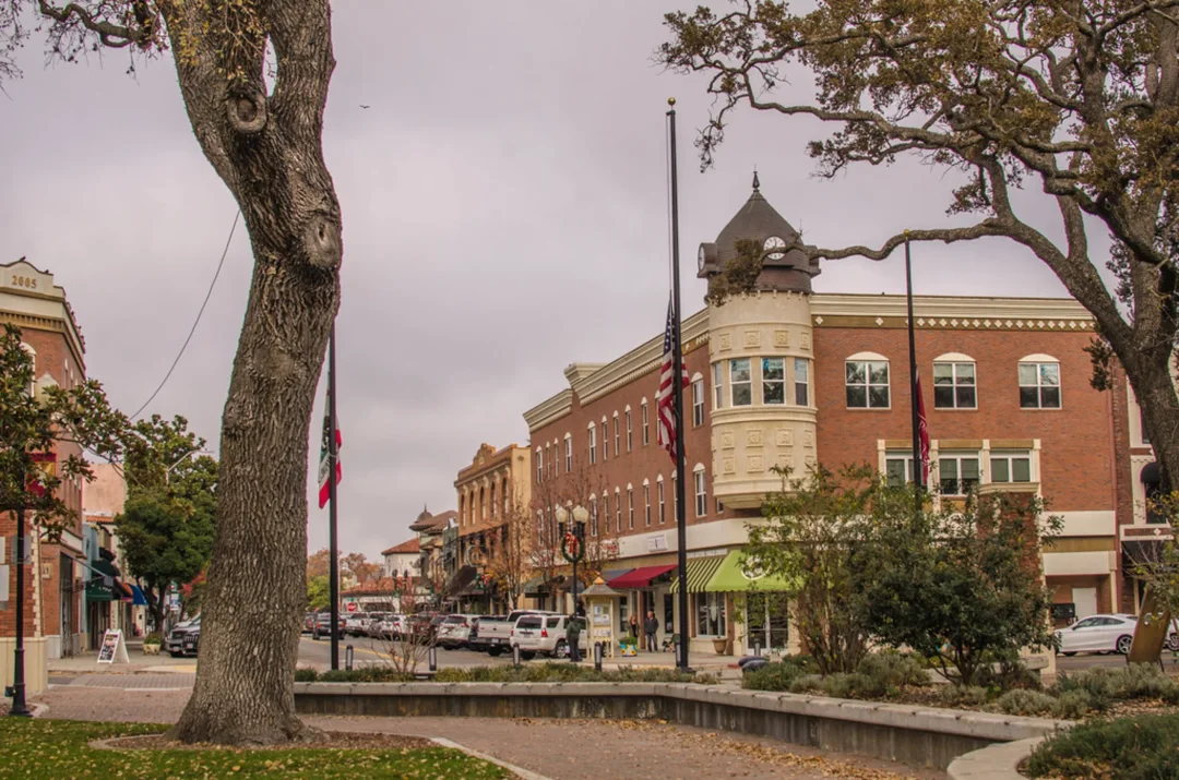 Historic downtown street with brick buildings, mature oak trees, American flag, and parked cars under overcast sky.
