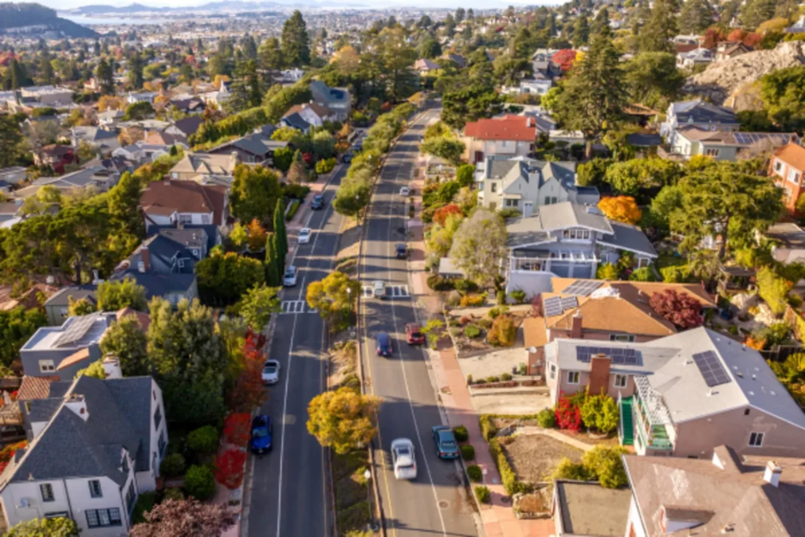 Aerial view of suburban neighborhood with tree-lined street and houses