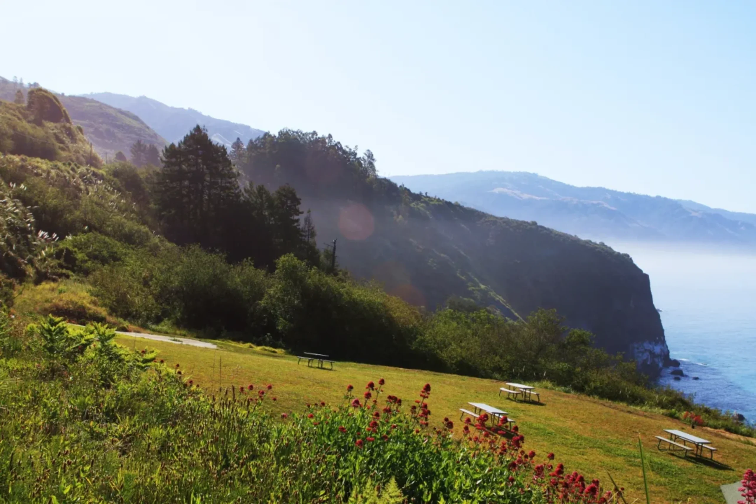 Coastal meadow with picnic tables, red flowers, mountains, and misty ocean view