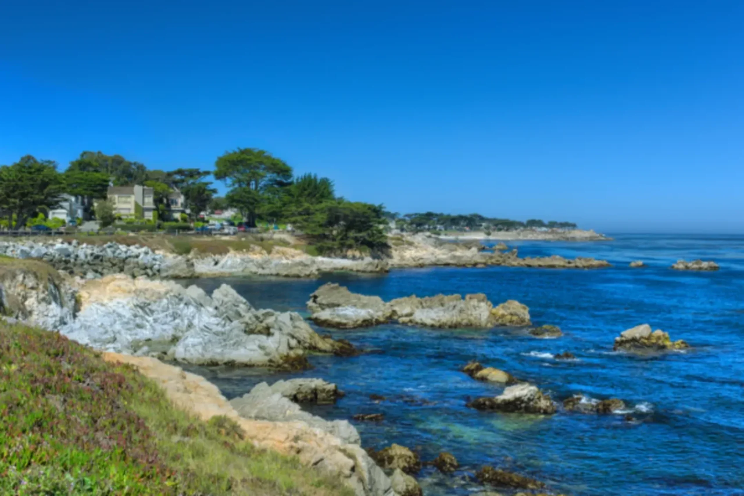 Rocky Pacific coastline with blue water, trees, and houses on shore