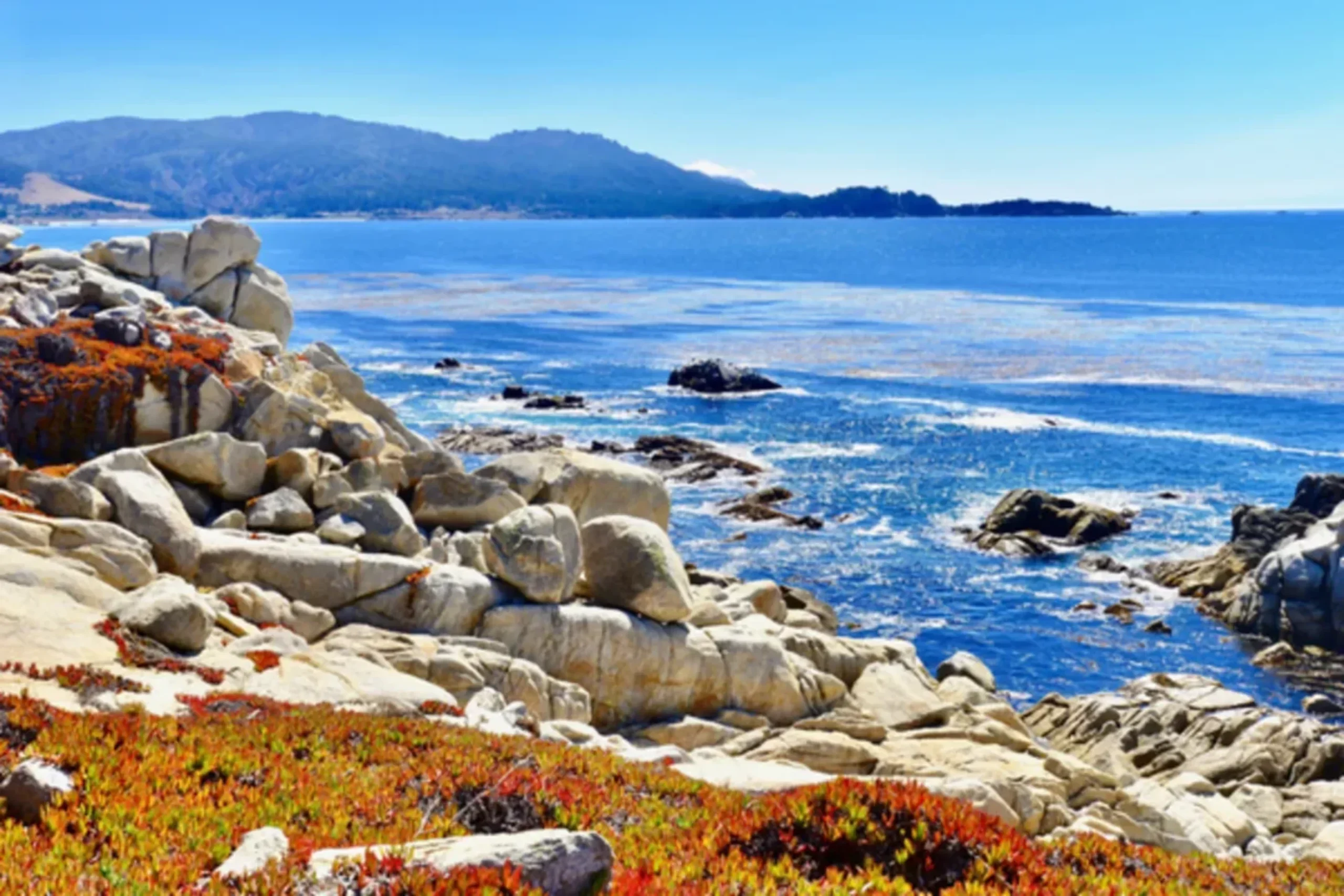 Rocky coastline with white boulders, colorful ice plants, and blue ocean waters with mountains in the distance.