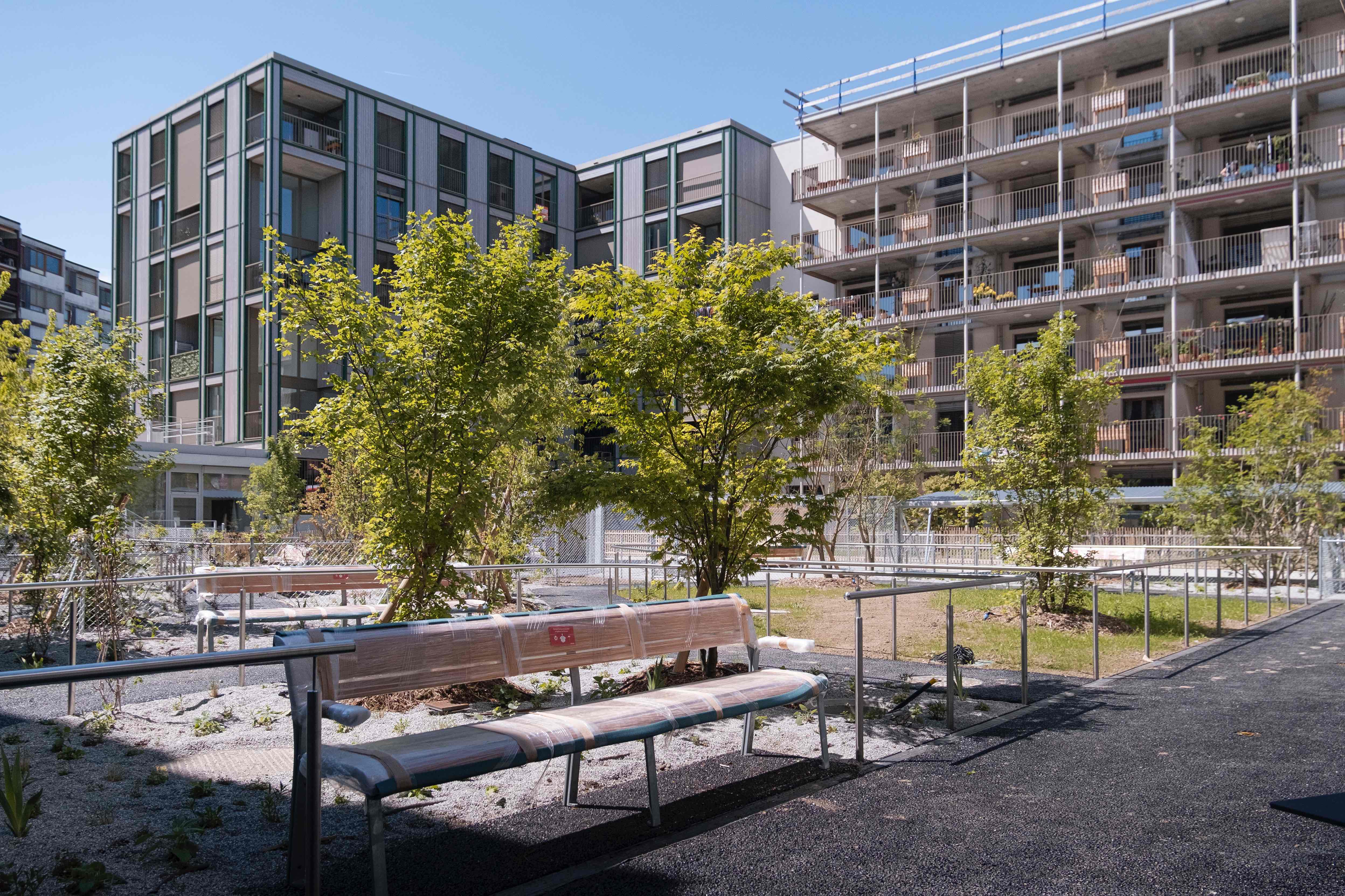 T Shirt bowl & chill