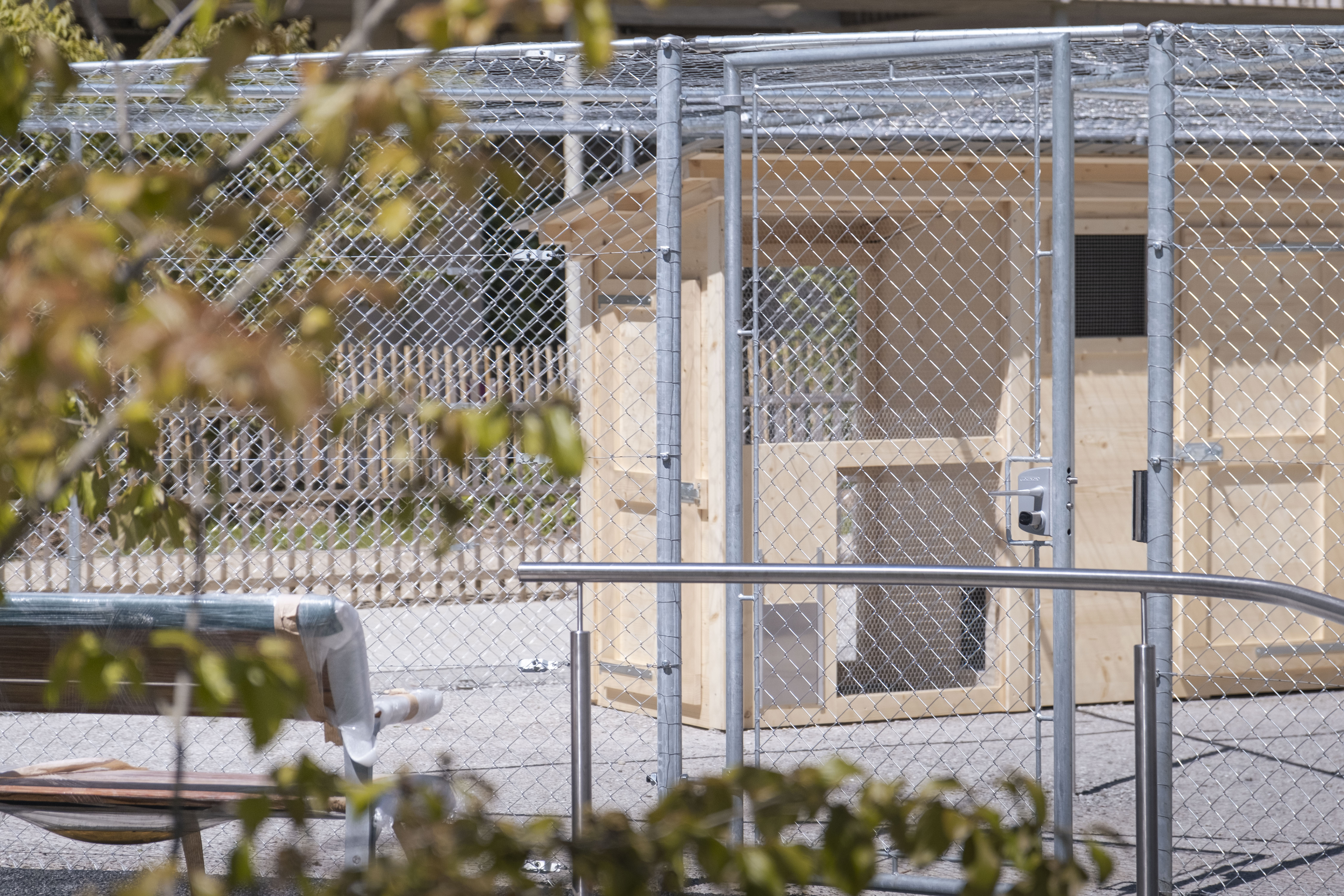T Shirt bowl & chill