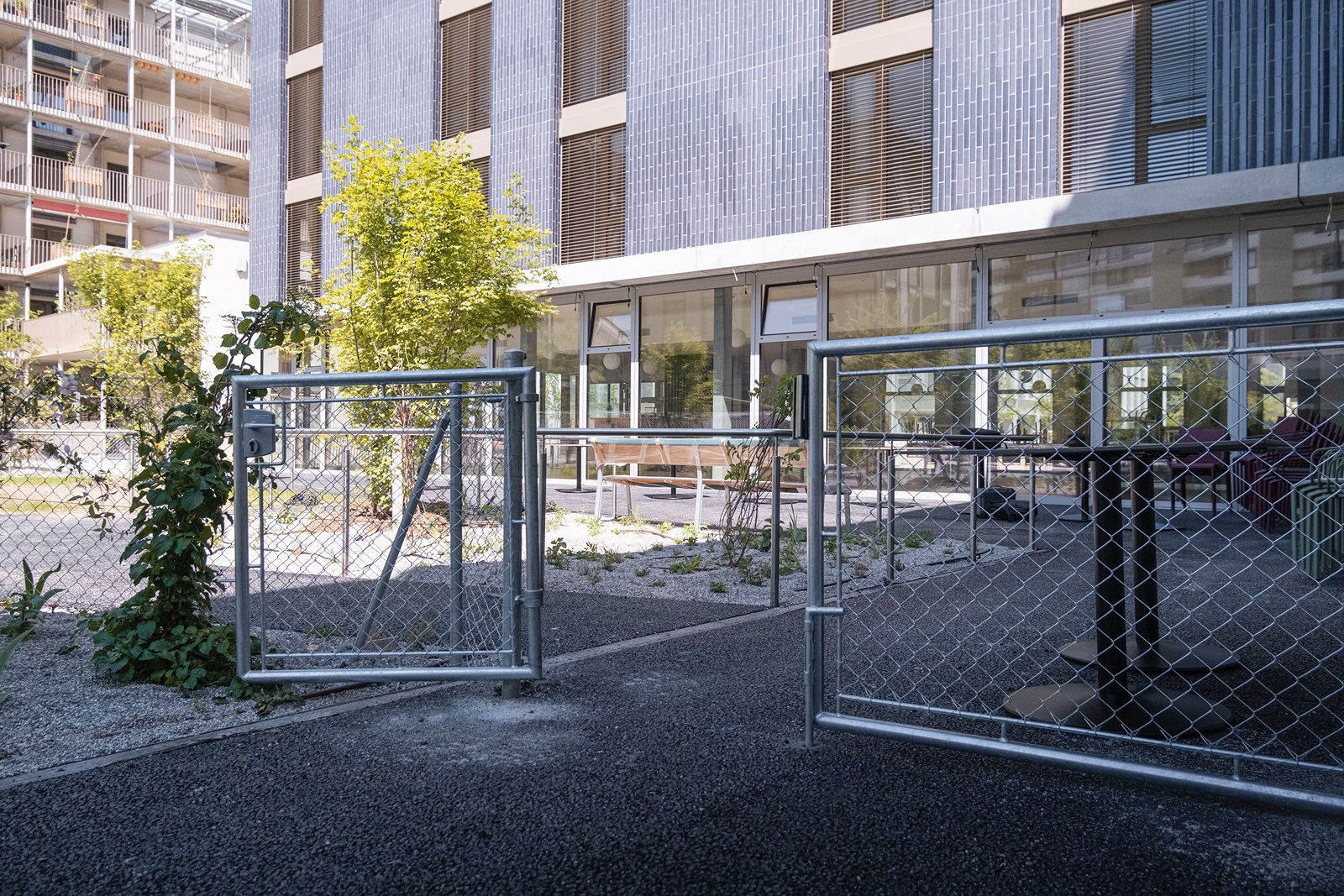 T Shirt bowl & chill