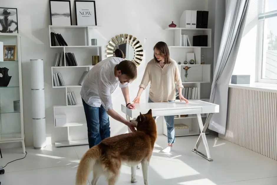 A couple interacting with their dog in a stylish Scandinavian-inspired home office.